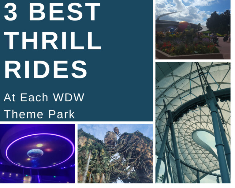 3 Three Best Thrill Rides at Each Walt Disney World Theme Park, Tron, Guardians of the Galaxy, Flight of Passage, Mission Space,