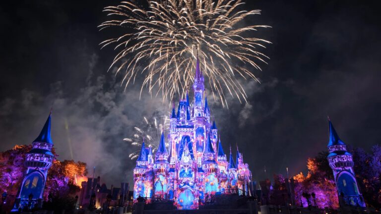 Disney Fireworks at Magic Kingdom