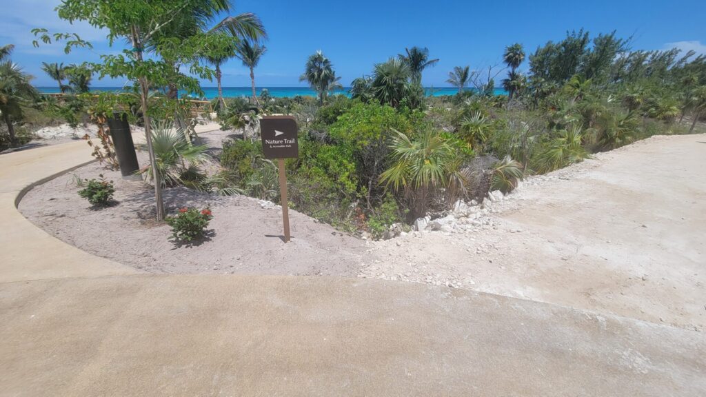 Disney Lookout Cay at Lighthouse Point Nature Trail Discovery Trail Scavenger Hunt