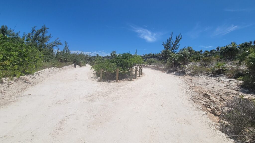 Disney Lookout Cay at Lighthouse Point Nature Trail Discovery Trail Scavenger Hunt