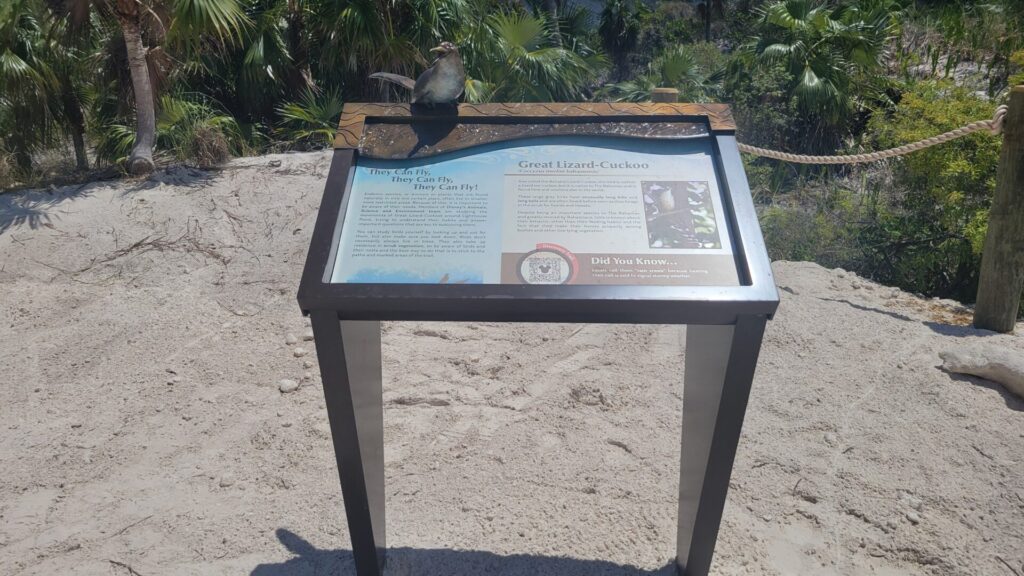 Disney Lookout Cay at Lighthouse Point Nature Trail Discovery Trail Scavenger Hunt