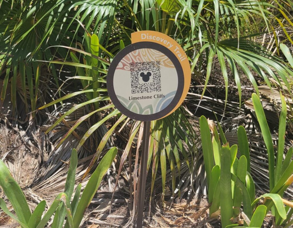 Disney Lookout Cay at Lighthouse Point QR Codes for Self-Paced Discovery Trail Scavenger Hunt