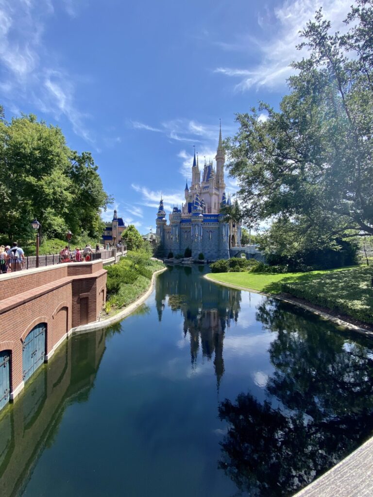 Magic Kingdom Castle Side