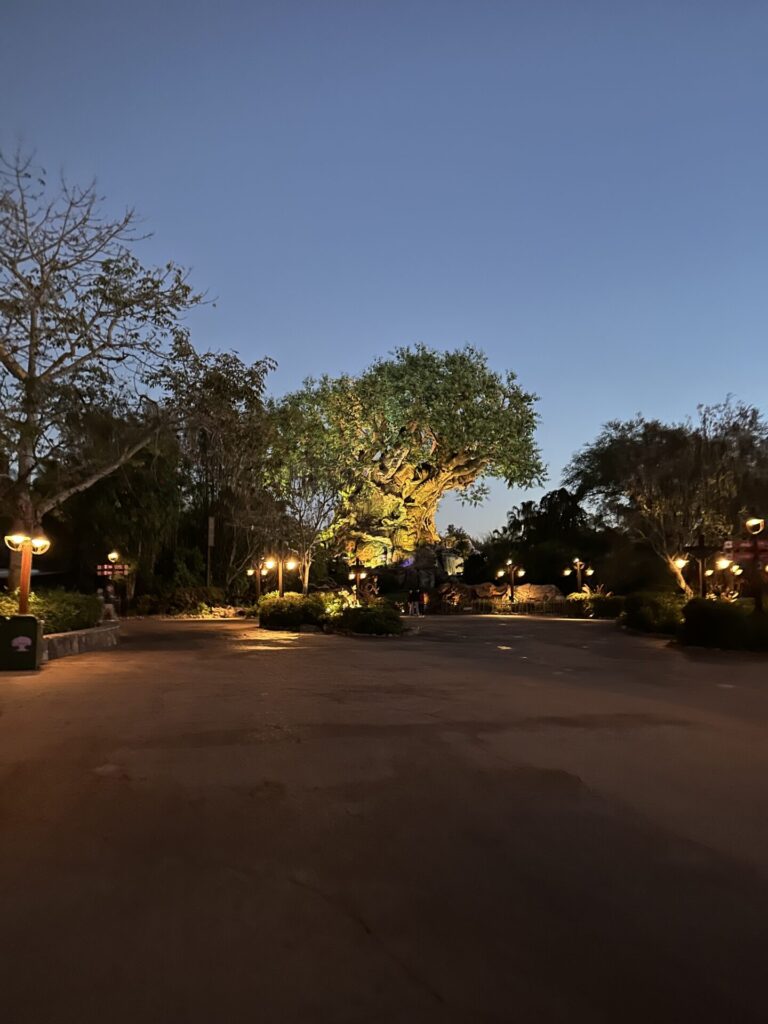 Animal Kingdom Tree Rope Drop