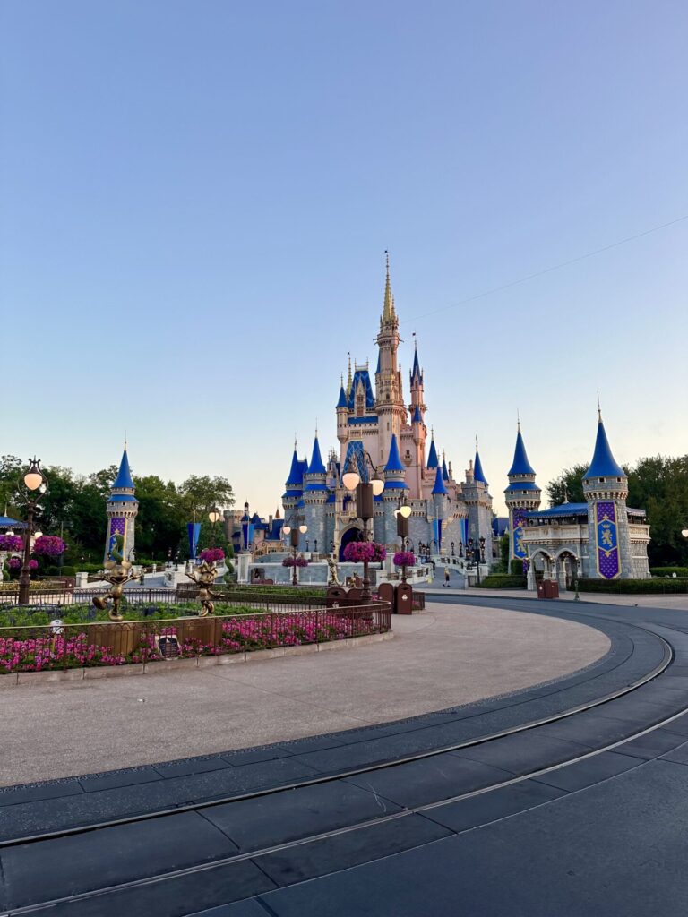 Magic Kingdom Castle rope drop