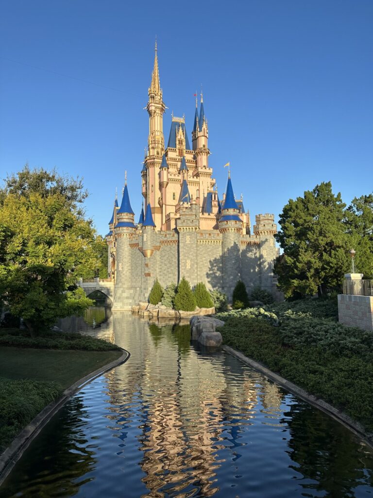 Magic Kingdom Castle Side View