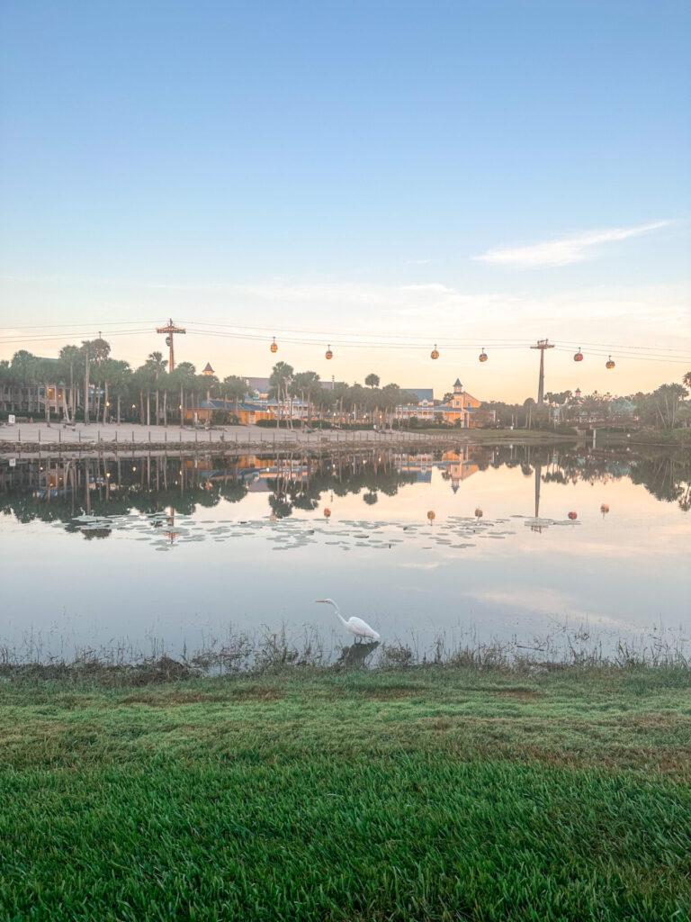 Disney Skyliner at Sunset