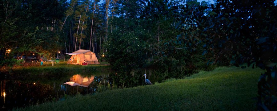 Cabins at Disney's Fort Wilderness walt Disney World Accommodations that sleep 6