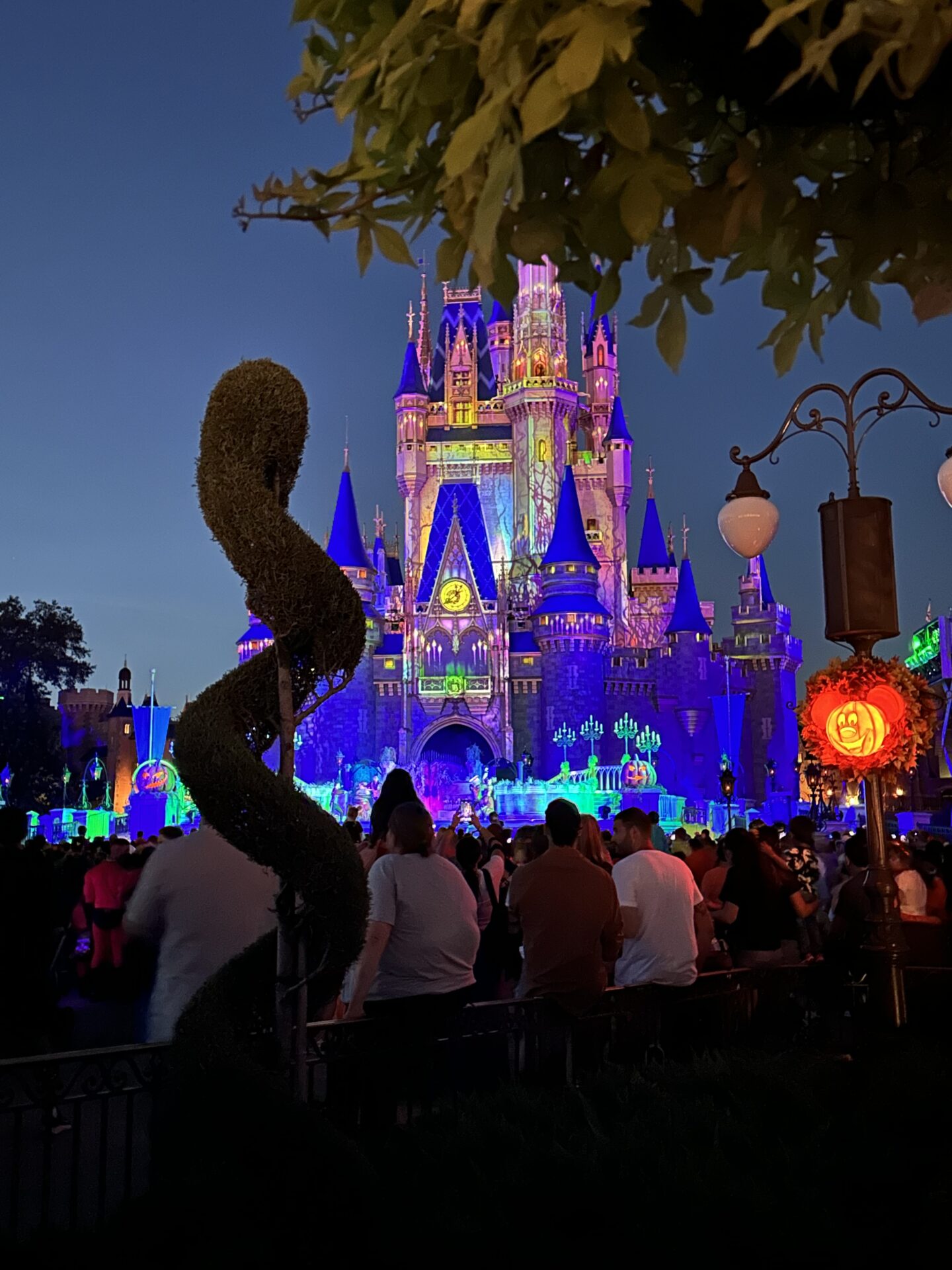 Mickey's Not So Scary Halloween Party Castle at Magic Kingdom at Walt Disney World After Party Tickets