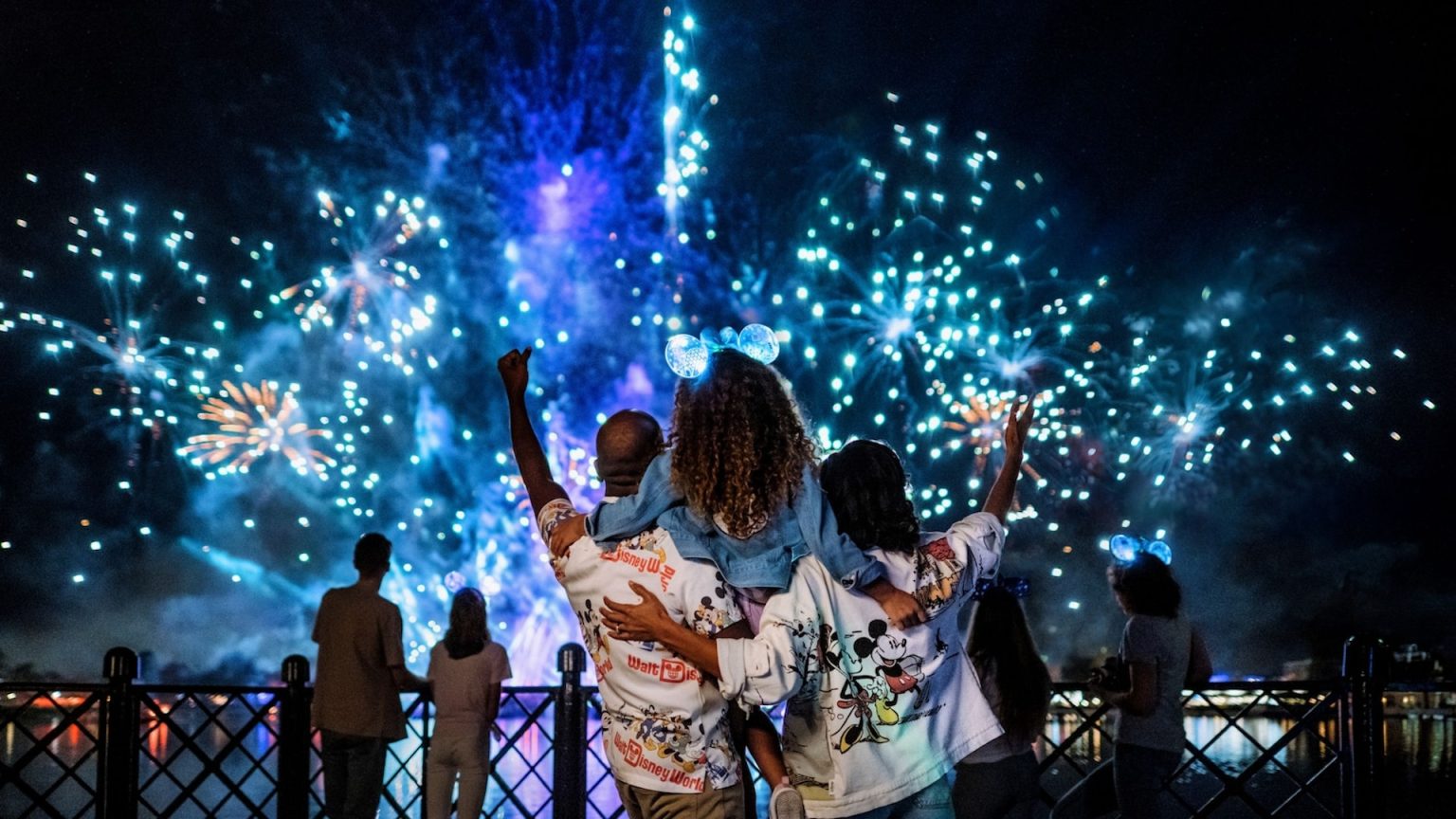 New Year's Eve Fireworks at Walt Disney World